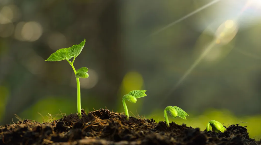 重磅|新開(kāi)普“20周年慶”大幕拉起，是時(shí)候發(fā)揮你的聰明才智了！(圖3)