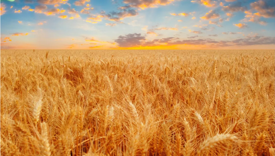 重磅|新開(kāi)普“20周年慶”大幕拉起，是時(shí)候發(fā)揮你的聰明才智了！(圖5)