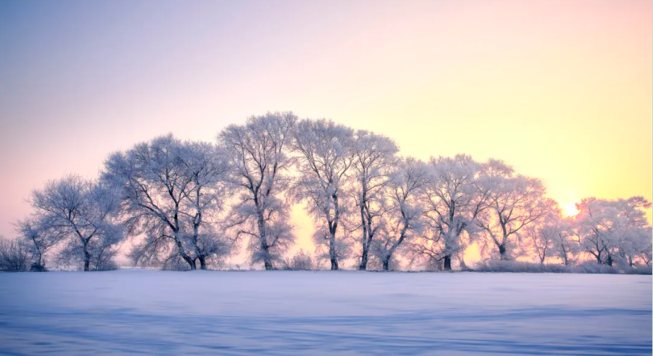重磅|新開(kāi)普“20周年慶”大幕拉起，是時(shí)候發(fā)揮你的聰明才智了！(圖6)