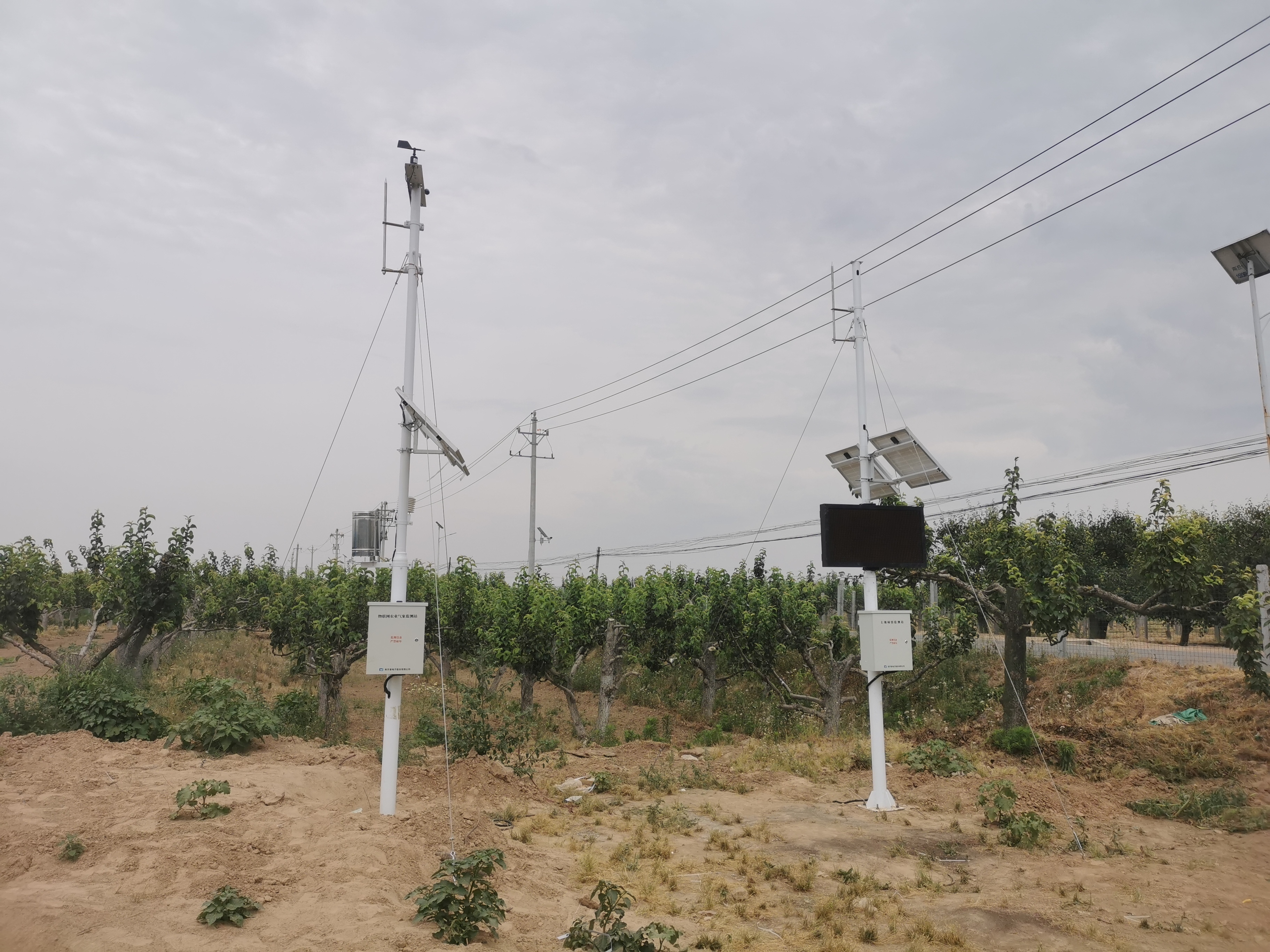 xx縣省級現(xiàn)代農(nóng)業(yè)產(chǎn)業(yè)園項目(圖5)