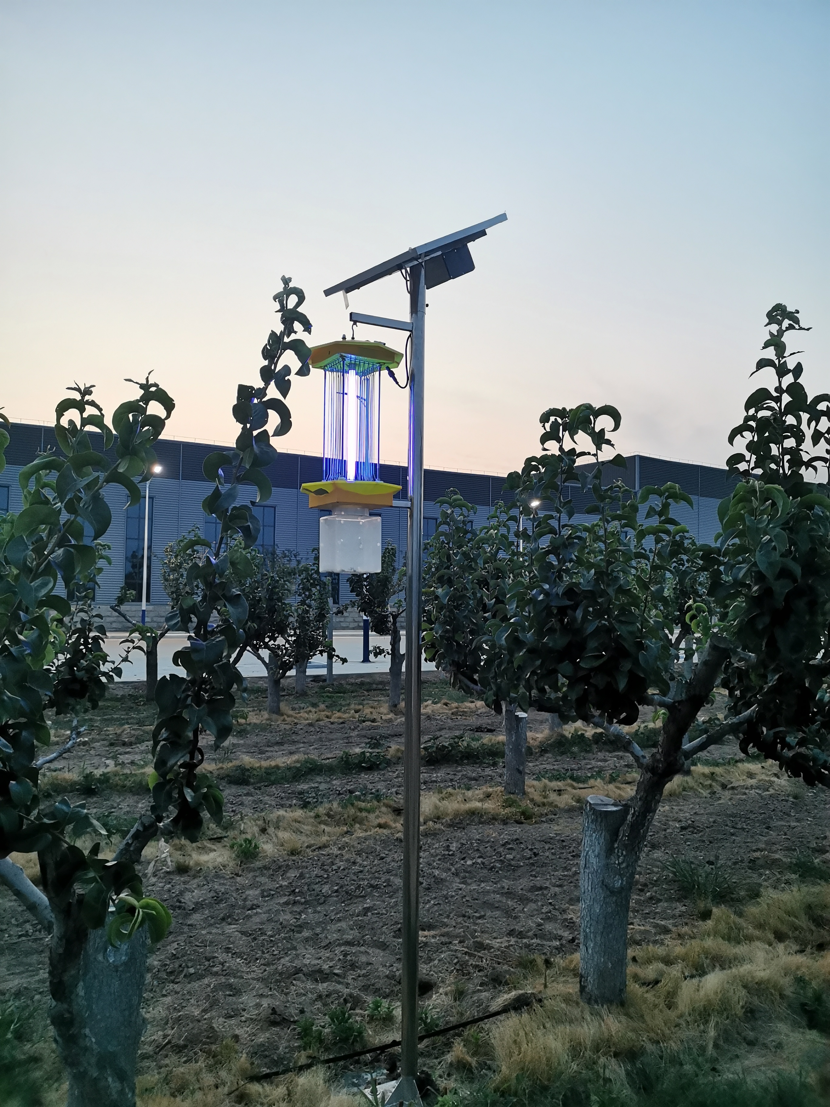 xx縣省級現(xiàn)代農(nóng)業(yè)產(chǎn)業(yè)園項目(圖4)