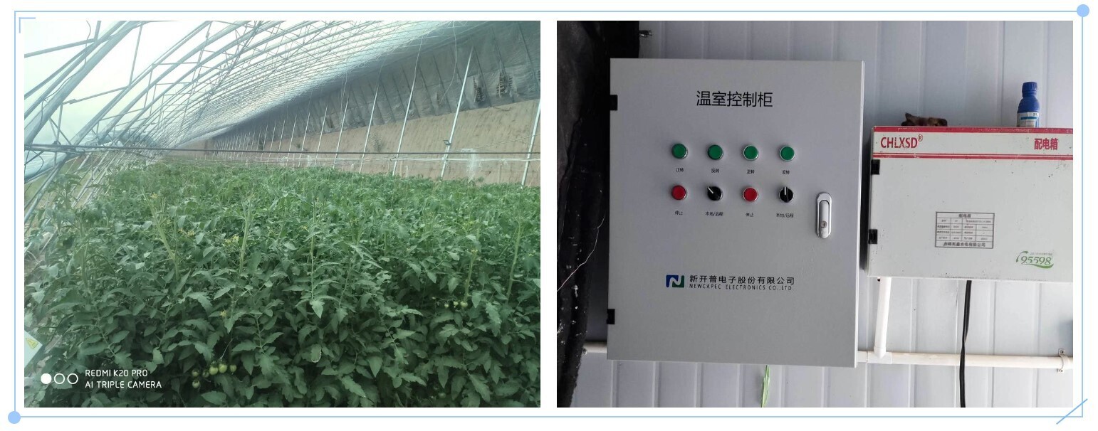 翁牛特旗園區(qū)智慧大棚項目，交出現(xiàn)代農(nóng)業(yè)的“亮眼答卷”！(圖4)